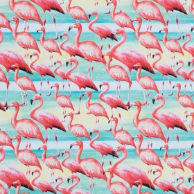 Flamingo Caye UV Protective Compression Swimwear Tricot with Aloe Vera Microcapsules Flamingo Caye UV Protective Compression Swimwear Tricot with Aloe Vera Microcapsules
