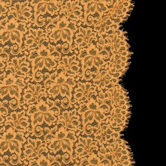 Re-Embroidered Lace Panel – Butterscotch Floral Re-Embroidered Lace Panel – Butterscotch Floral