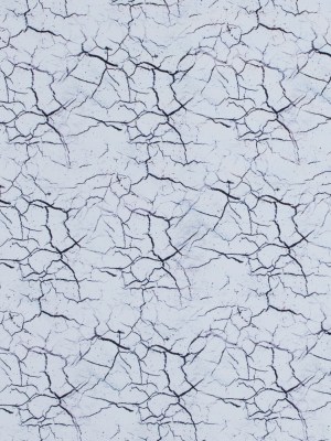 White Marble Caye UV Protective Compression Swimwear Tricot with Aloe Vera Microcapsules White Marble Caye UV Protective Compression Swimwear Tricot with Aloe Vera Microcapsules