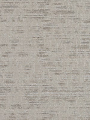 Beige and Metallic Silver Abstract Brocade Beige and Metallic Silver Abstract Brocade