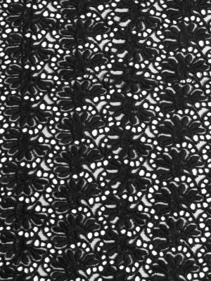 Black Floral Partially Netted Lace Black Floral Partially Netted Lace