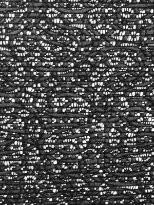 Black Novelty Lace w/ Knife Pleats Black Novelty Lace w/ Knife Pleats