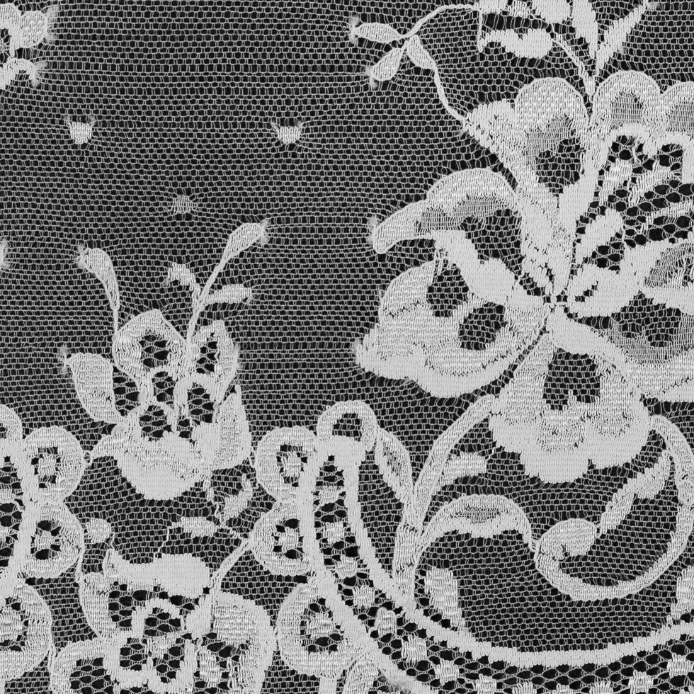 Off-White Floral Lace Trimming - 6.5"