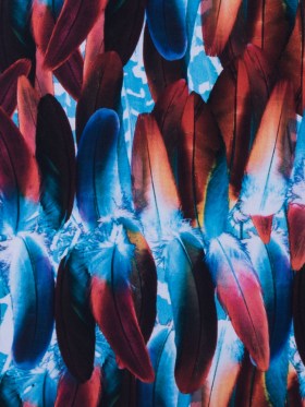 Compression Swimwear Tricot, UV Protective with Aloe Vera Microcapsules – Blue/Red Feather – Caye Collection Compression Swimwear Tricot, UV Protective with Aloe Vera Microcapsules – Blue/Red Feather – Caye Collection