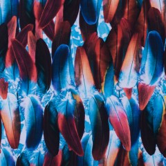 Compression Swimwear Tricot, UV Protective with Aloe Vera Microcapsules – Blue/Red Feather – Caye Collection Compression Swimwear Tricot, UV Protective with Aloe Vera Microcapsules – Blue/Red Feather – Caye Collection