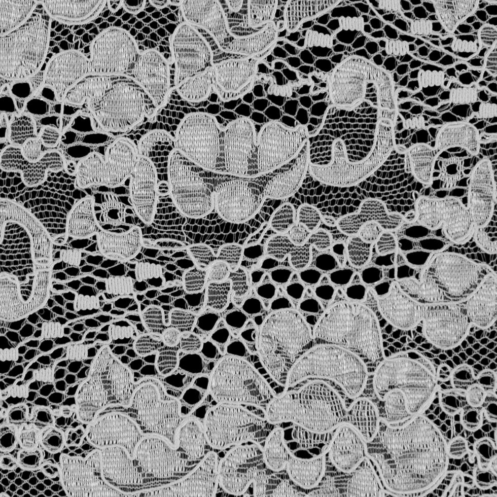 Off-White Corded Floral Lace Trim - 5.5"