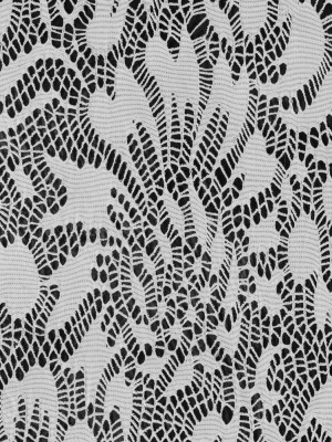 Italian White Laminated Lace Italian White Laminated Lace