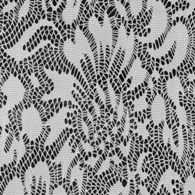 Italian White Laminated Lace Italian White Laminated Lace