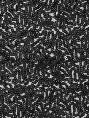 Phillip Lim Black All Over Sequins on a Stretch Netting Phillip Lim Black All Over Sequins on a Stretch Netting