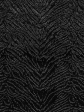 Zebra Embossed Velvet – Black Zebra Embossed Velvet – Black