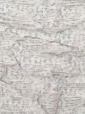 Embroidered Net Lace – Iridescent Flamestitch on Black Embroidered Net Lace – Iridescent Flamestitch on Black