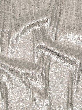 Silver Striped Circle Sequins over White Mesh Silver Striped Circle Sequins over White Mesh