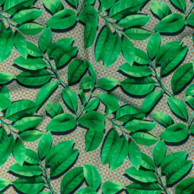 Compression Swimwear Tricot, UV Protective with Aloe Vera Microcapsules – Green Leaves and Orange Geometric – Caye Collection Compression Swimwear Tricot, UV Protective with Aloe Vera Microcapsules – Green Leaves and Orange Geometric – Caye Collection