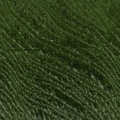 Metallic Tortuga Bay Rippling Luxury Brocade Metallic Tortuga Bay Rippling Luxury Brocade