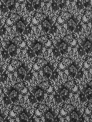 Re-Embroidered Lace – Black Floral Re-Embroidered Lace – Black Floral