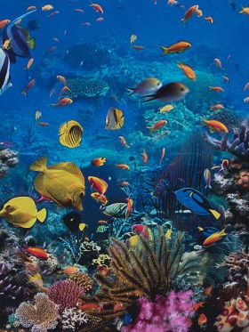 Organic Viscose Batiste – Marine Blue Coral Reef Border Print Organic Viscose Batiste – Marine Blue Coral Reef Border Print