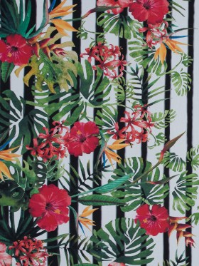 Striped Tropical Border Printed Organic Viscose Batiste Striped Tropical Border Printed Organic Viscose Batiste