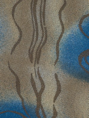 Blue and Beige Printed Polyester Mesh Blue and Beige Printed Polyester Mesh