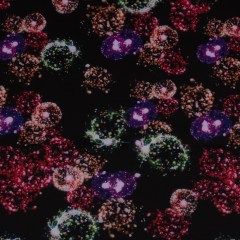 Italian Black Dandelion Printed Stretch Scuba Knit Italian Black Dandelion Printed Stretch Scuba Knit