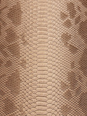 Python Embossed Vinyl – Toasted Almond Python Embossed Vinyl – Toasted Almond