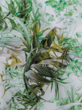 Mercerized Organic Egyptian Cotton Voile – Green and Yellow Tropical Oasis – Toulouse Collection Mercerized Organic Egyptian Cotton Voile – Green and Yellow Tropical Oasis – Toulouse Collection