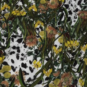 Mercerized Organic Egyptian Cotton Shirting – Spotted Iris and Chrysanthemums – Ravello Collection Mercerized Organic Egyptian Cotton Shirting – Spotted Iris and Chrysanthemums – Ravello Collection