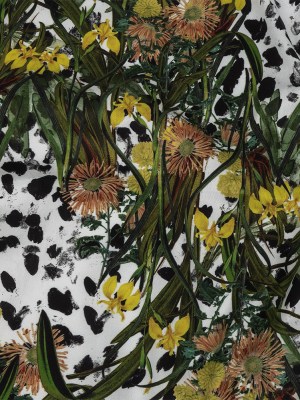 Mercerized Organic Egyptian Cotton Shirting – Spotted Iris and Chrysanthemums – Ravello Collection Mercerized Organic Egyptian Cotton Shirting – Spotted Iris and Chrysanthemums – Ravello Collection