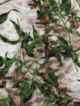 Mercerized Organic Egyptian Cotton Shirting – Misty Foliage – Ravello Collection Mercerized Organic Egyptian Cotton Shirting – Misty Foliage – Ravello Collection