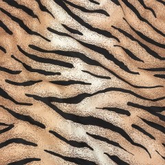 Mood Exclusive Peach Tiger Queen Stretch Cotton Sateen Mood Exclusive Peach Tiger Queen Stretch Cotton Sateen