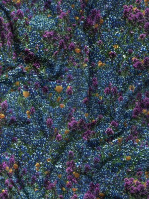 Mood Exclusive Melodious Meadow Stretch Cotton Sateen Mood Exclusive Melodious Meadow Stretch Cotton Sateen