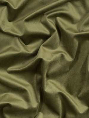 Ultra Soft Polyester Velvet – Fern – British Imported Ultra Soft Polyester Velvet – Fern – British Imported