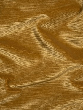 Plush Upholstery Corduroy – Gold – Emerson Collection Plush Upholstery Corduroy – Gold – Emerson Collection