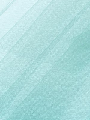 Nylon Tulle 108″ – Aqua – Pavlova Wide Collection Nylon Tulle 108″ – Aqua – Pavlova Wide Collection