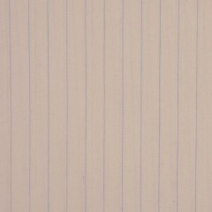 Cream/Chalk Blue Striped Shirting Cream/Chalk Blue Striped Shirting