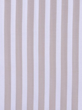 Wheat and White Raised-Stripe Shirting Wheat and White Raised-Stripe Shirting