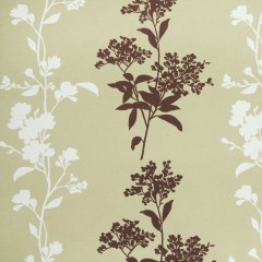 Kiwi/Chocolate/White Floral Canvas Kiwi/Chocolate/White Floral Canvas