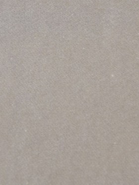 Beige Solid Velvet Beige Solid Velvet