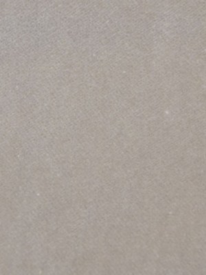 Beige Solid Velvet Beige Solid Velvet