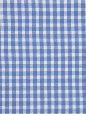 Bluebonnet Checks Canvas Bluebonnet Checks Canvas