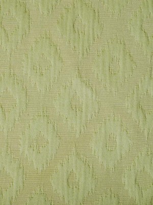 Fern Ikat Cotton Fern Ikat Cotton