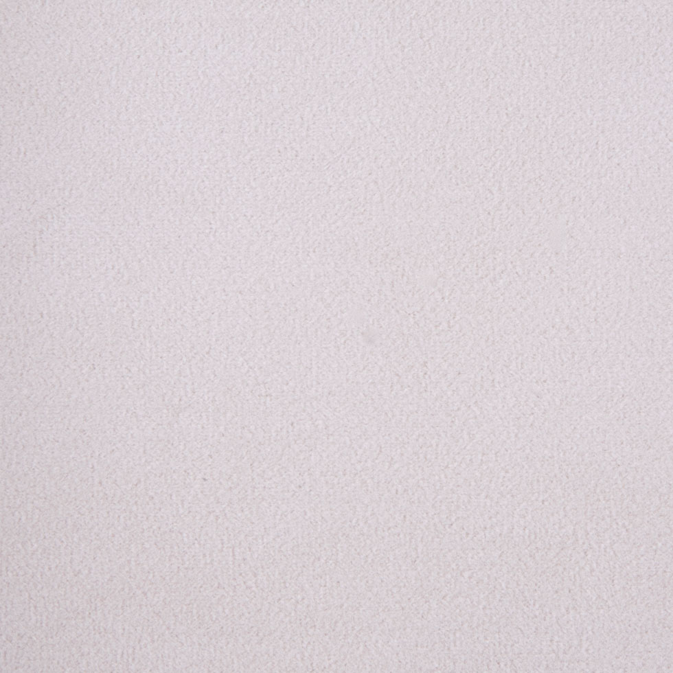 Beige Solid Velvet Beige Solid Velvet