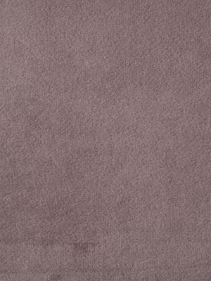 Gray Stone Solid Velvet Gray Stone Solid Velvet