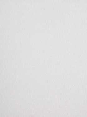 Off-White Solid Velvet Off-White Solid Velvet