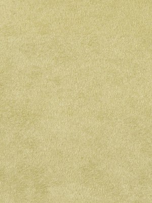 Vaneko Celery Solid Faux Ultrasuede Vaneko Celery Solid Faux Ultrasuede