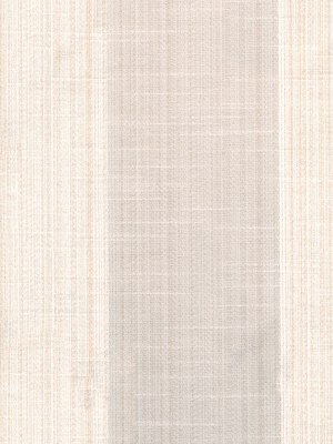 Champagne Stripes Woven Champagne Stripes Woven