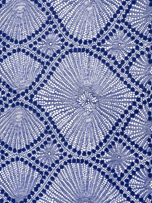 Metallic Raschel Lace Panel with Finished Edges – Electric Blue and Silver Sun Ray Ogees Metallic Raschel Lace Panel with Finished Edges – Electric Blue and Silver Sun Ray Ogees