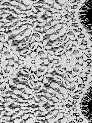 Corded Lace Panel with Finished Edges – Ivory Flowers and Leafy Vines Corded Lace Panel with Finished Edges – Ivory Flowers and Leafy Vines