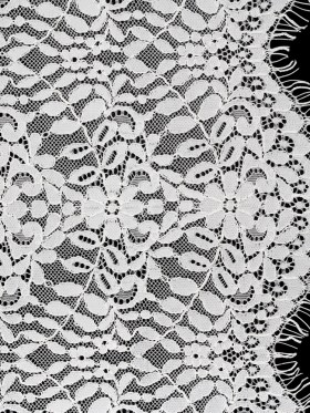 Corded Lace Panel with Finished Edges – Ivory Flowers and Leafy Vines Corded Lace Panel with Finished Edges – Ivory Flowers and Leafy Vines