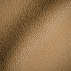 Paloma Italian Canyon Semi-Aniline Natural Pebble Top Grain Performance Cow Leather Hide Paloma Italian Canyon Semi-Aniline Natural Pebble Top Grain Performance Cow Leather Hide