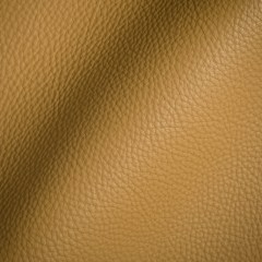 Paloma Italian Praline Semi-Aniline Natural Pebble Top Grain Performance Cow Leather Hide Paloma Italian Praline Semi-Aniline Natural Pebble Top Grain Performance Cow Leather Hide